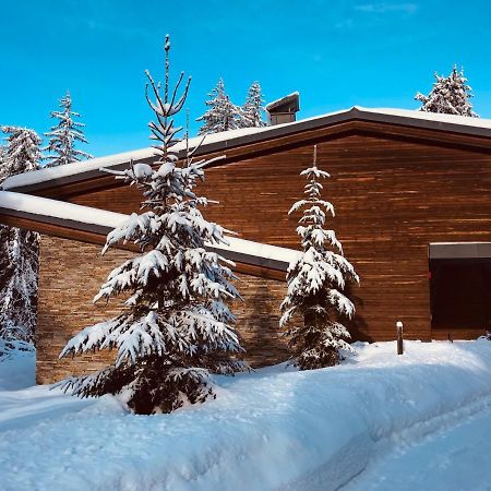 Borovets Chalets エクステリア 写真