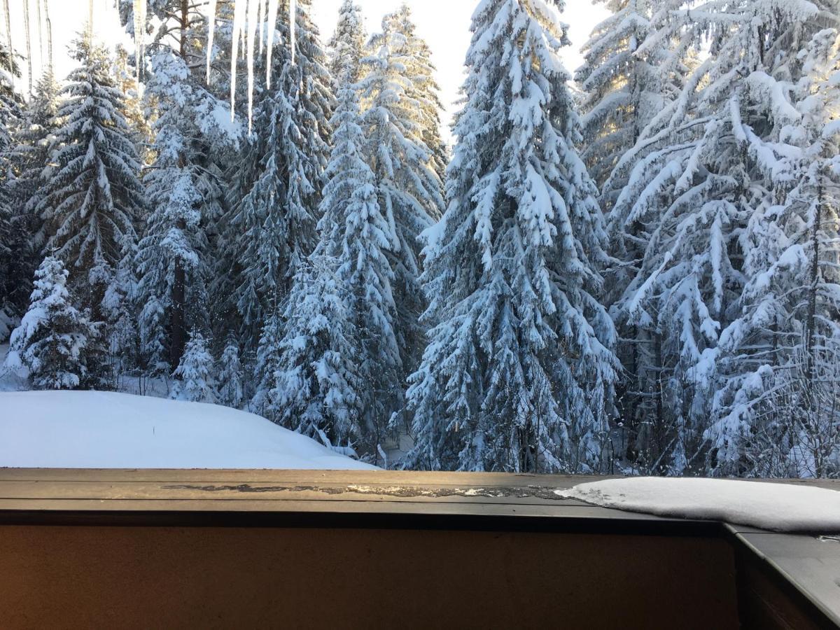 Borovets Chalets エクステリア 写真
