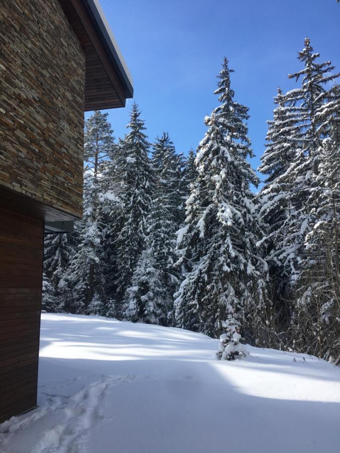 Borovets Chalets エクステリア 写真