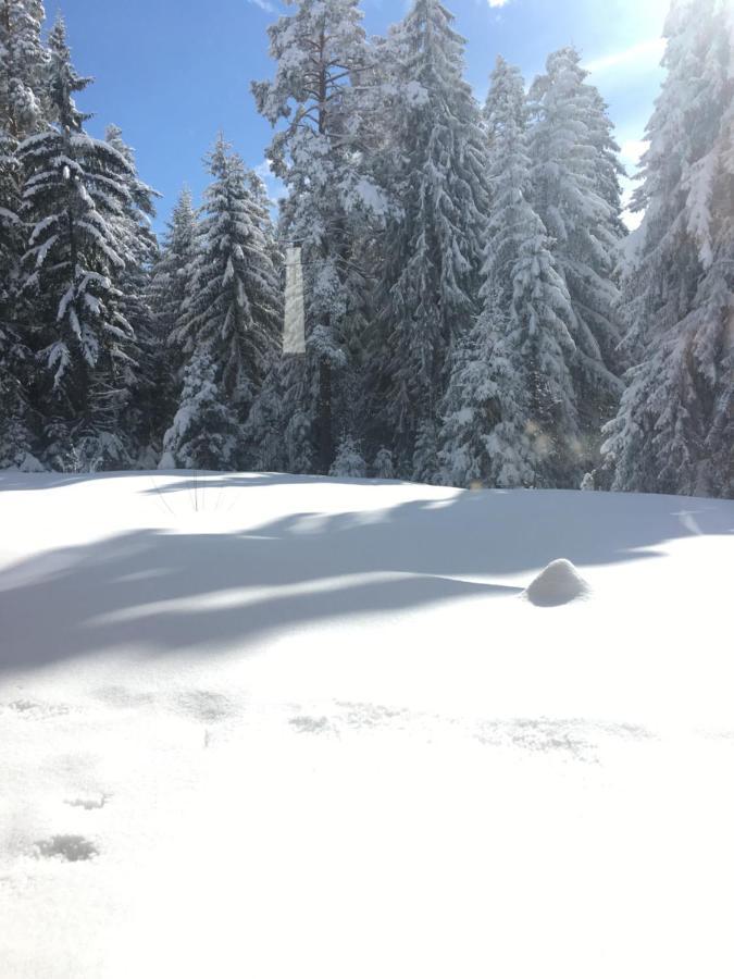 Borovets Chalets エクステリア 写真