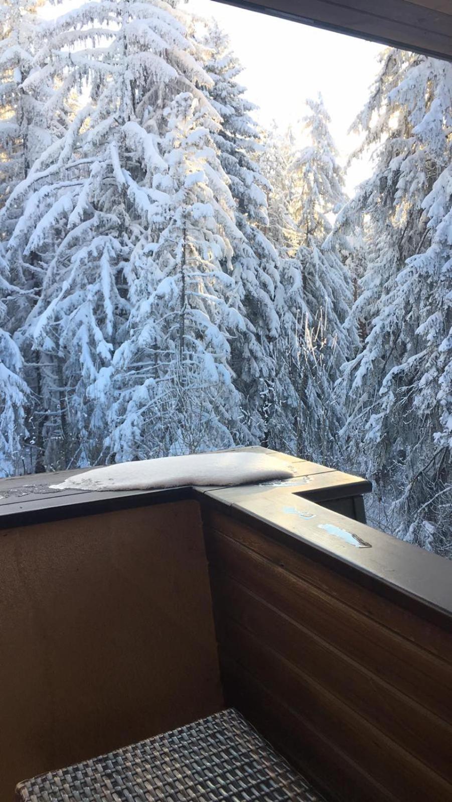 Borovets Chalets エクステリア 写真