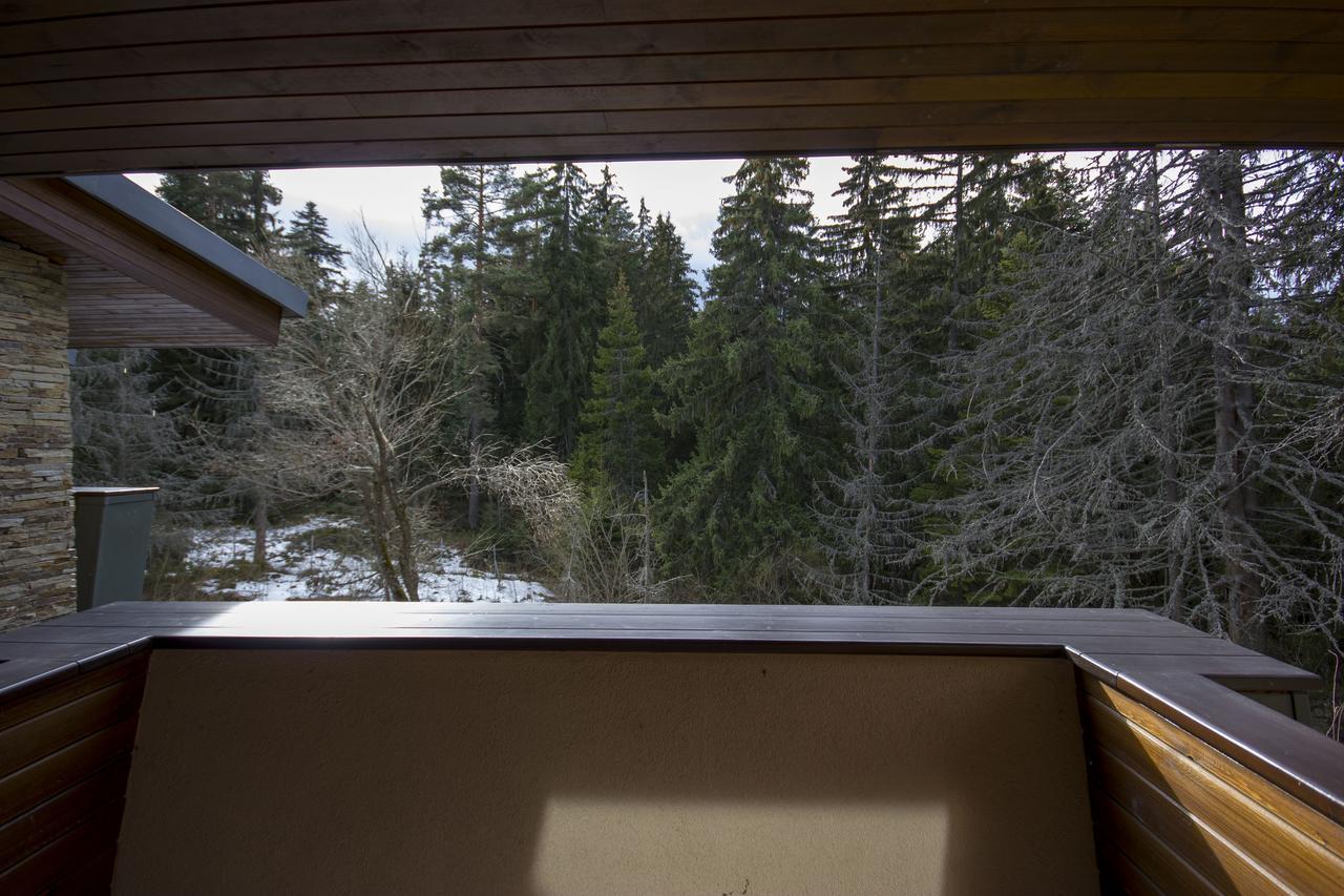 Borovets Chalets エクステリア 写真