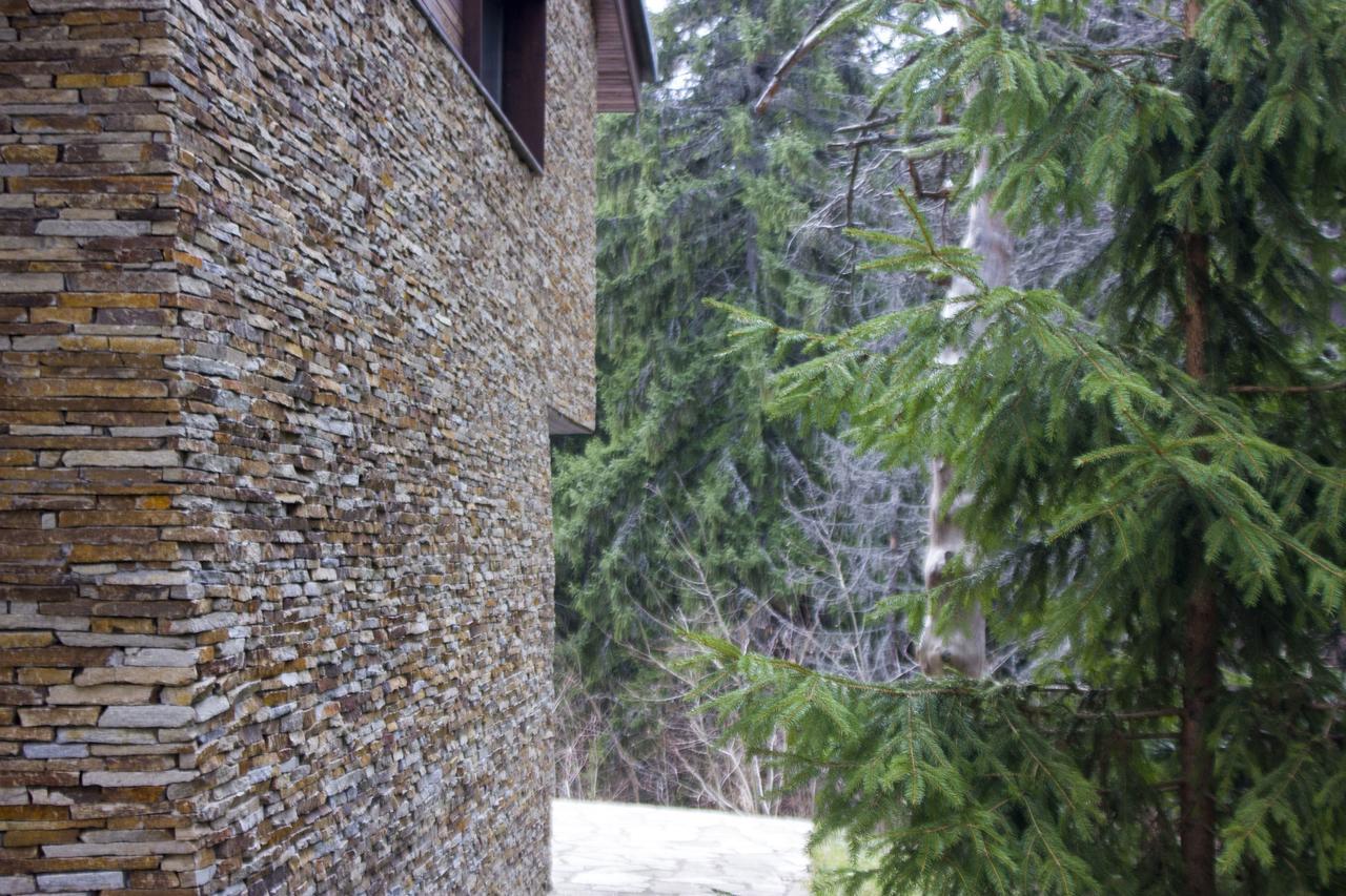 Borovets Chalets エクステリア 写真