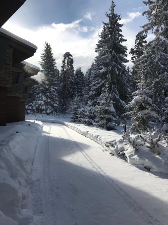 Borovets Chalets エクステリア 写真