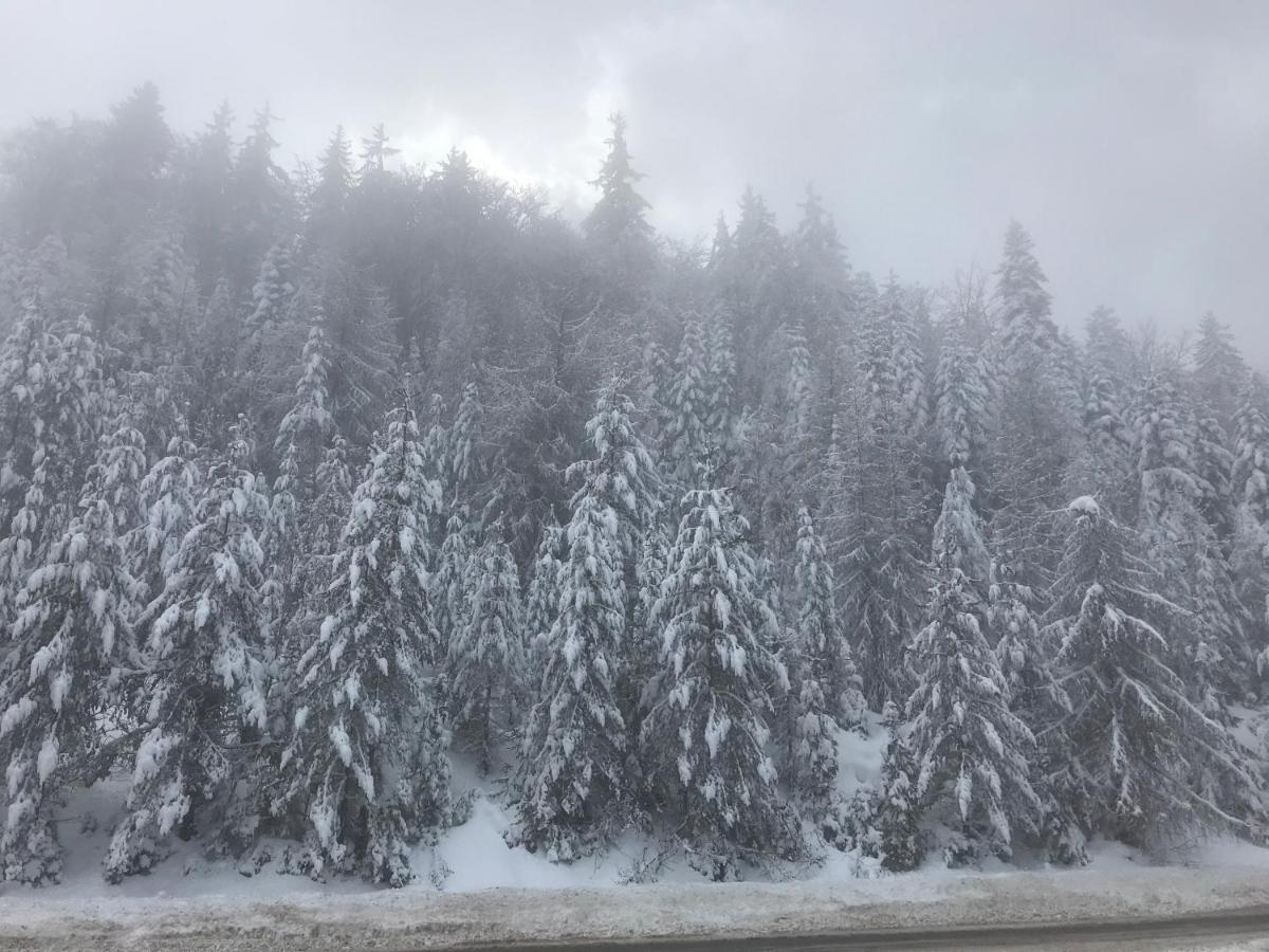 Borovets Chalets エクステリア 写真