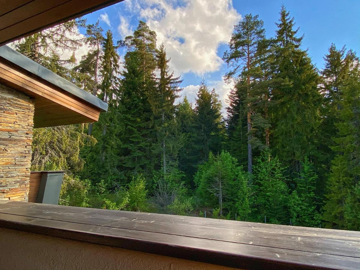 Borovets Chalets エクステリア 写真
